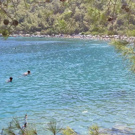 Villa Koca çalış Star